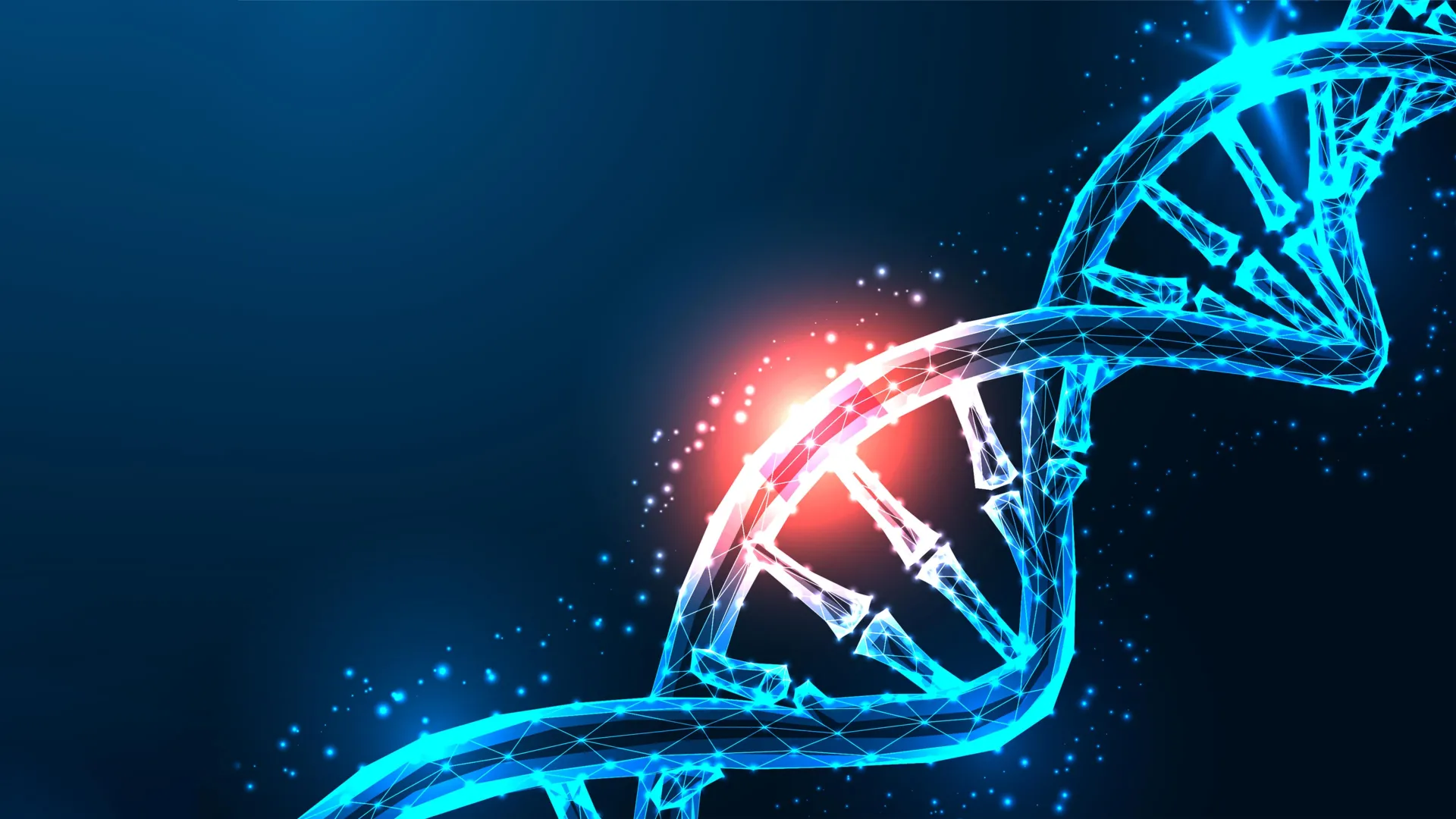 Homologous Recombination Repair (HRR)
